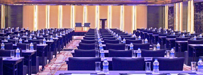 428/Radisson Blu Plaza - New Delhi 04.jpg